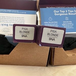 Donna Bella Hair Color Pisa Blond 9NA